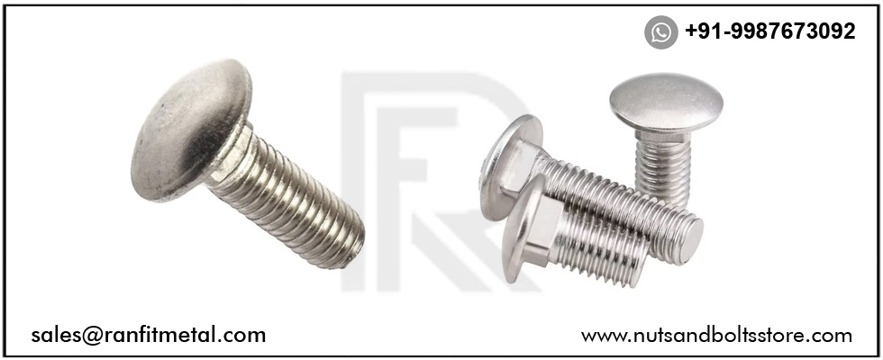 SS Round Head Bolts