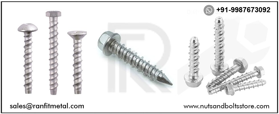 SS Hex Screws