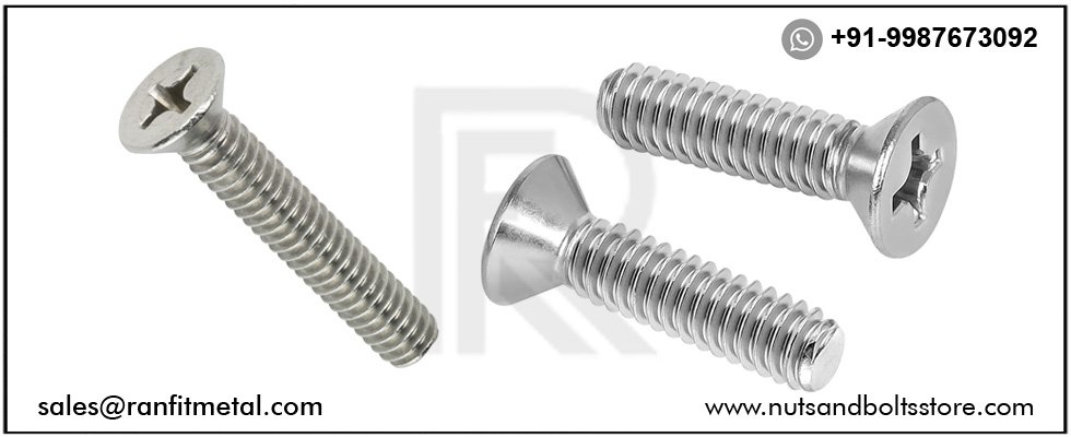 SS Flat Head Screws