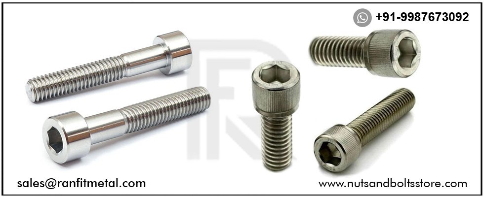 SS Hex Socket Screws