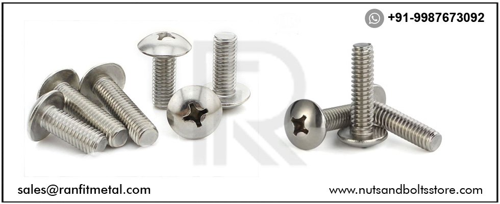 SS Mashroom Head Screws