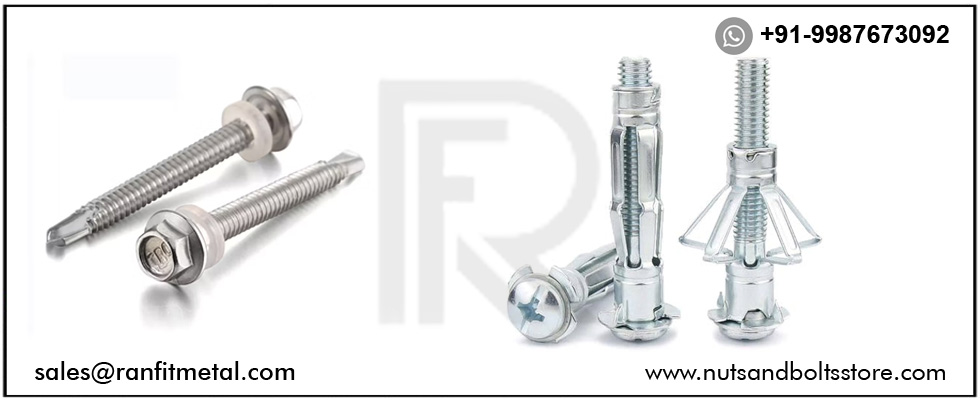 SS Hex Screws