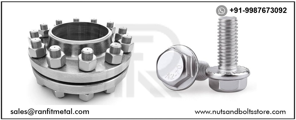 SS Flange End Stud