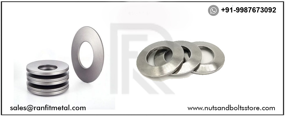 SS Belleville Washers